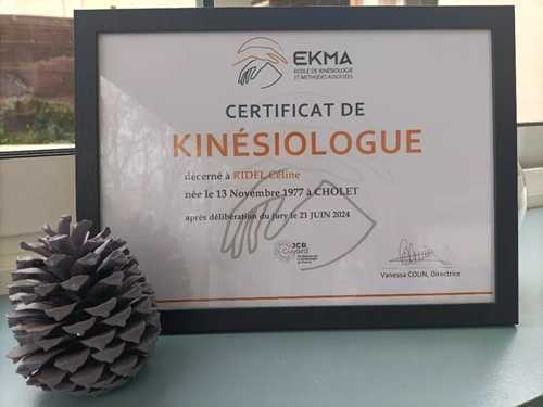 La kinsiologie est une mthode douce psycho-corporelle.
